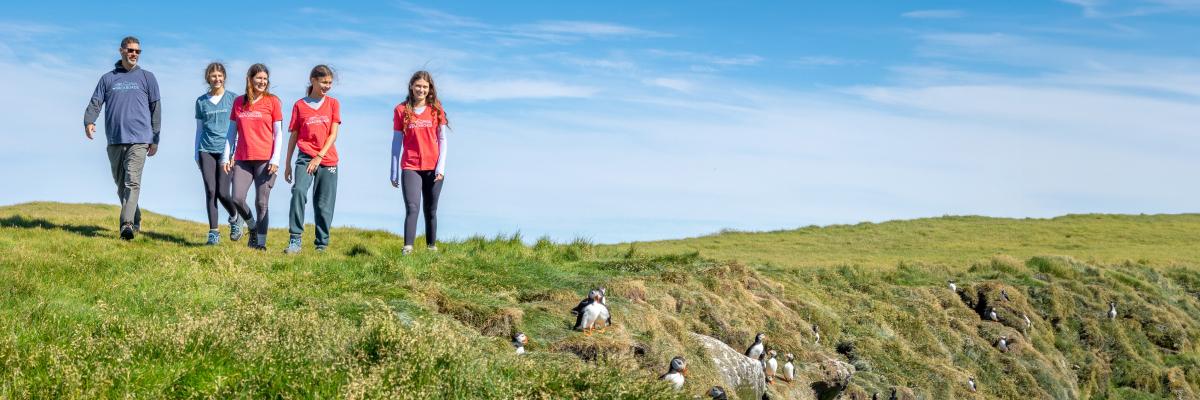 Fun for the Whole Family! - background banner